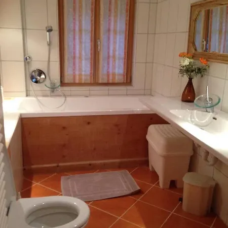 度假居 The Alps Wonder *